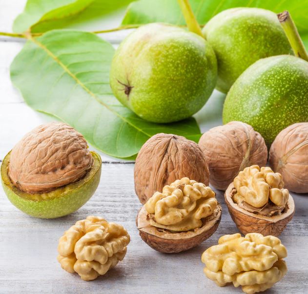 بهترین نژاد گردو برای مناطق سرد
